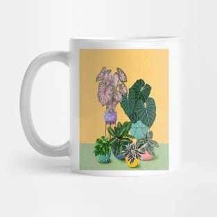 Colourful House Plants 4 Mug